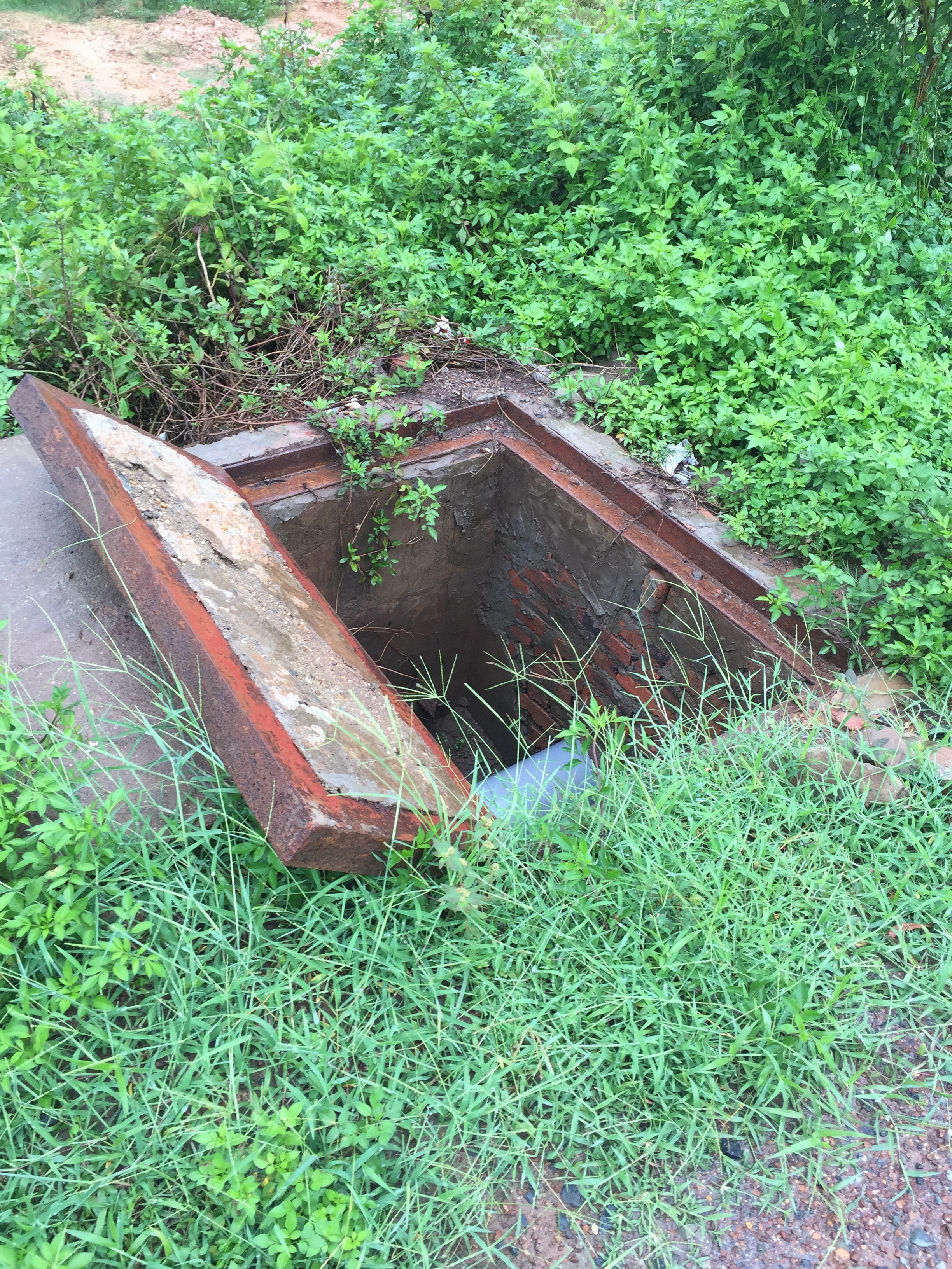 Thông tin từ đường dây nóng   